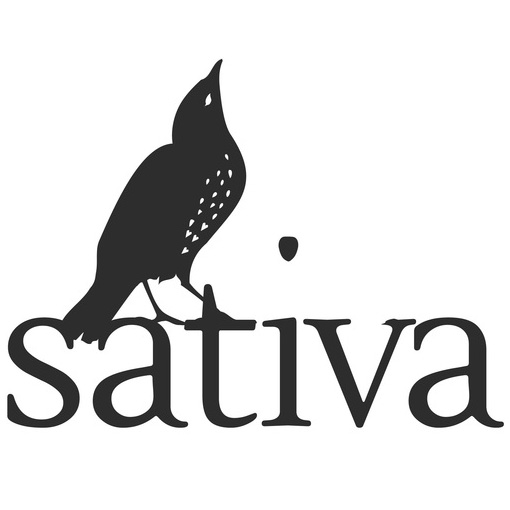 Sativa